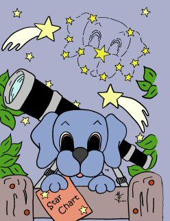 Summer fun - star gazing!