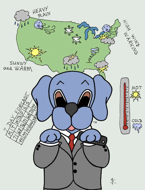 Dreamee Dog is an excellent weatherman. But, being an actor, social media influencer, DJ, producer, director, and news anchor were fun!