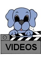 Watch Dreamee Dog's recipe & fun videos. Watch Dreamee Dog's recipe & fun videos.