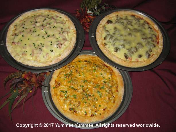 Make three (3) 12 inch pizza crusts with one Breads mix.