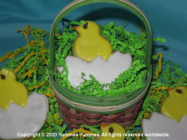 Celebrate Spring with baby chicks! Celebrate Spring with baby chicks!