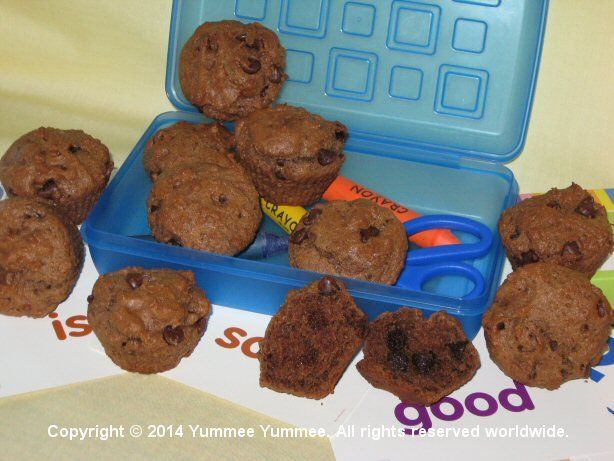 Gluten-free Chocolate Chocolate Chip Muffins for the family chocoholic!